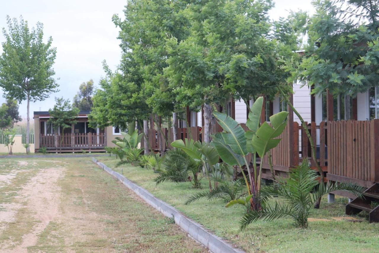 Camping Girasole Kültér fotó